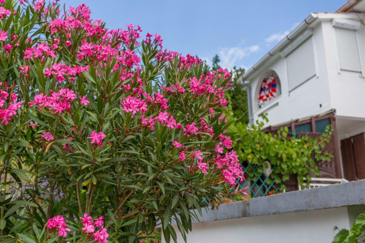 באסקה Studio Apartments Gilda מראה חיצוני תמונה